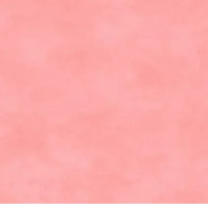 bnpquilts5635009