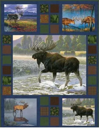 bnpquilts5643696