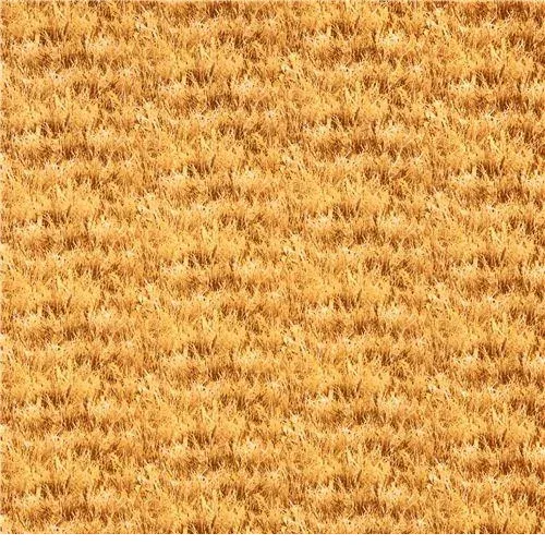 bnpquilts5653950