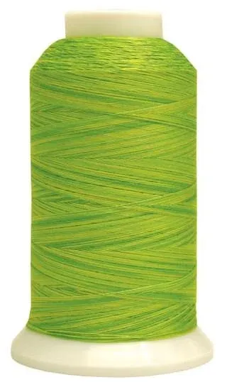 bnpquilts5665028