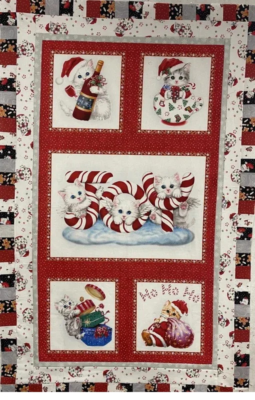 bnpquilts5682962