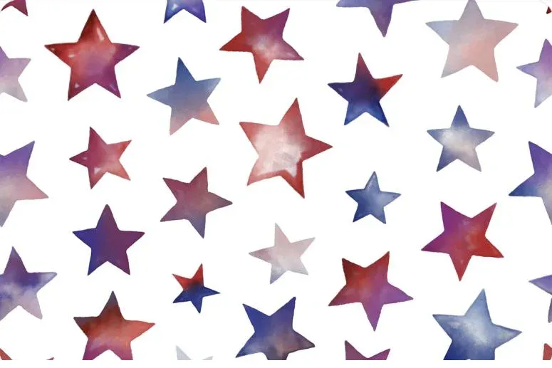 bnpquilts5696064