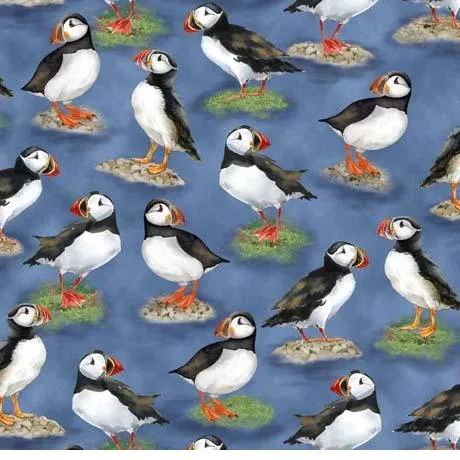 bnpquilts5708236