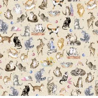 bnpquilts5716397