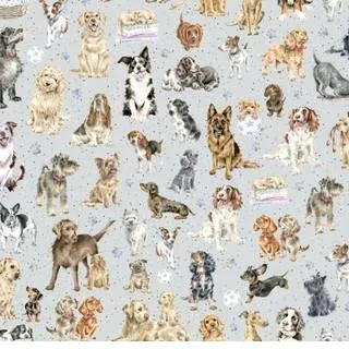 bnpquilts5716414