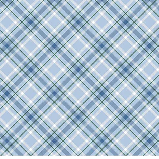 bnpquilts5724555
