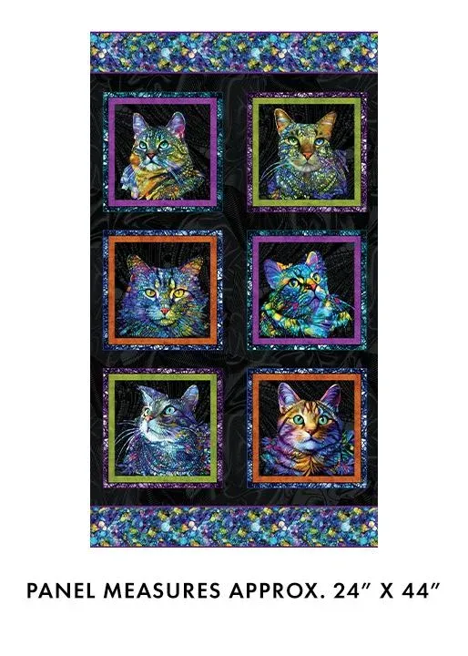 bnpquilts5729427