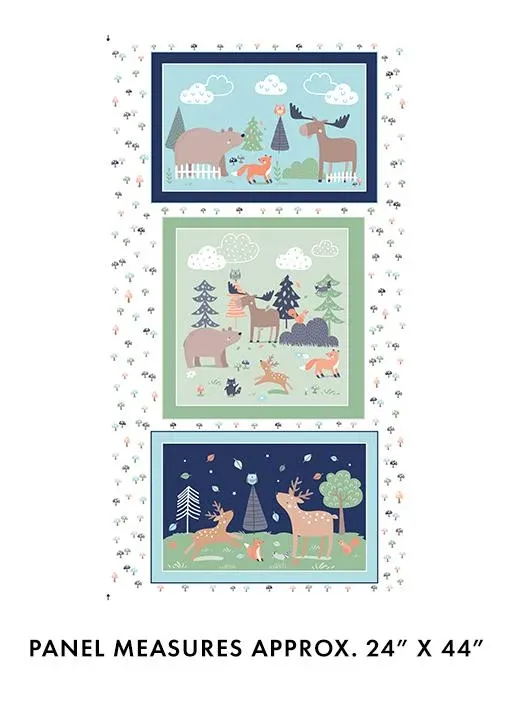 bnpquilts5729600