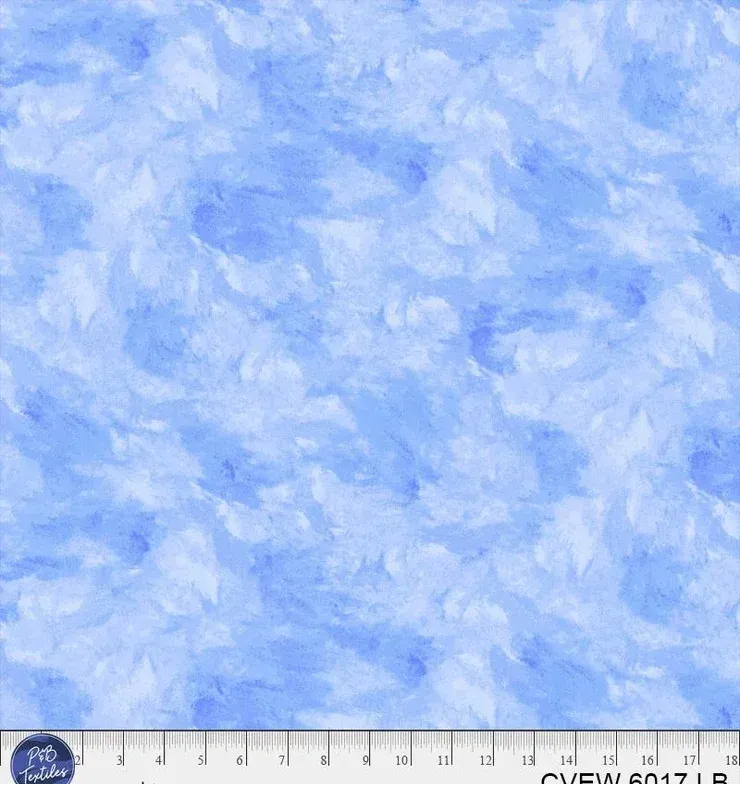 bnpquilts5730065