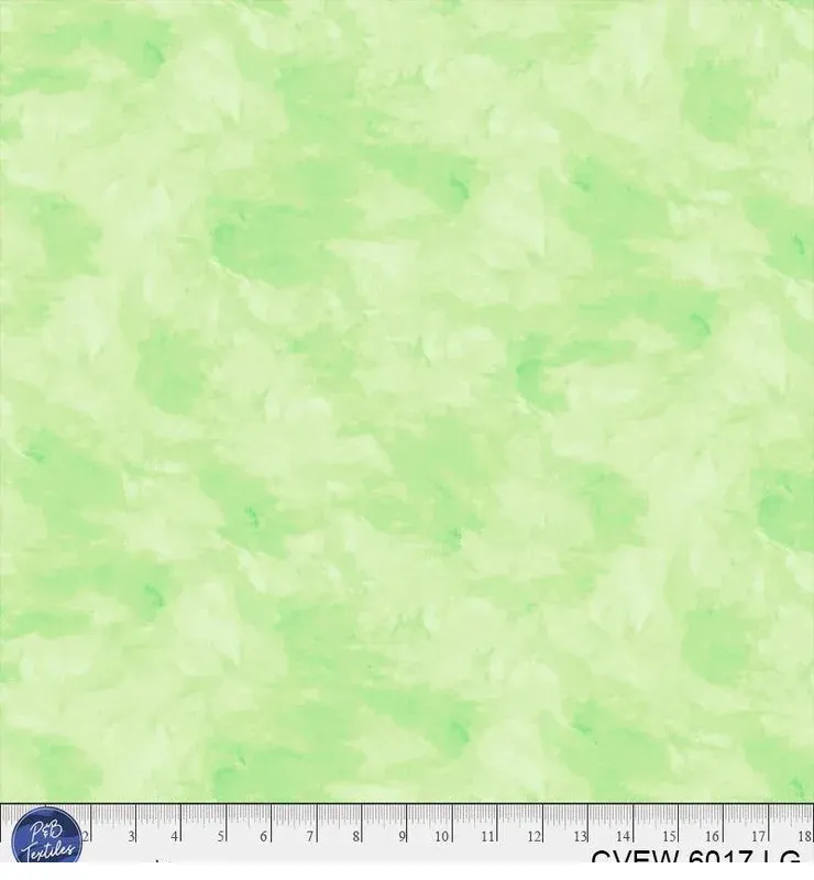 bnpquilts5730072