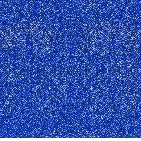 bnpquilts5732795