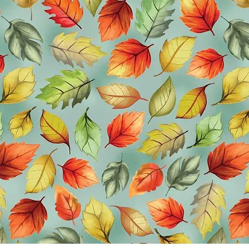 bnpquilts5734895