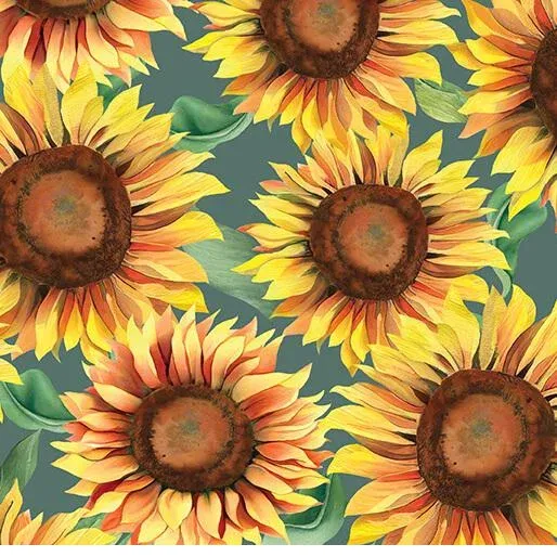 bnpquilts5734905