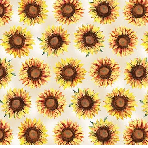 bnpquilts5734948