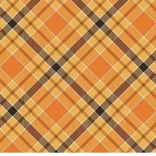 bnpquilts5734965