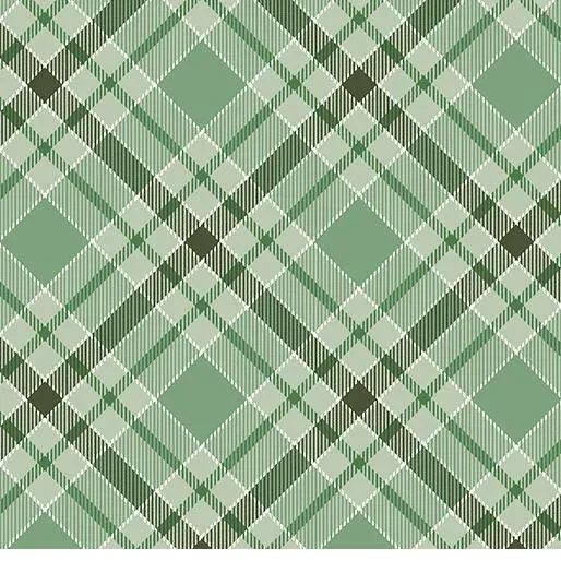 bnpquilts5734986