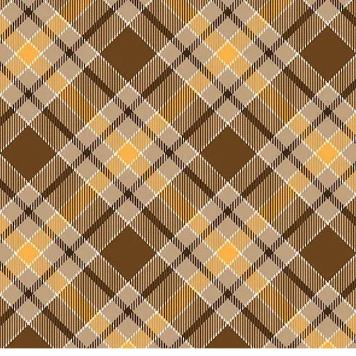 bnpquilts5734994