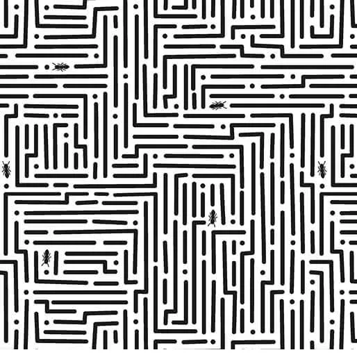 bnpquilts5736414