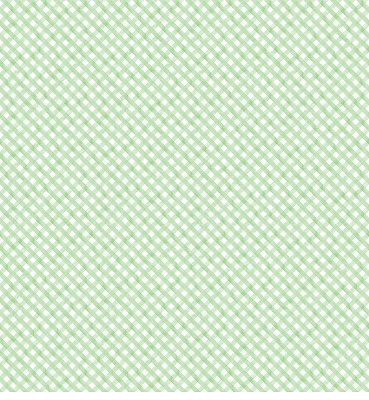 bnpquilts5738923