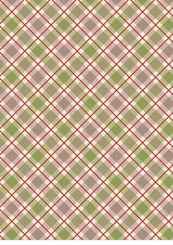 bnpquilts5750588