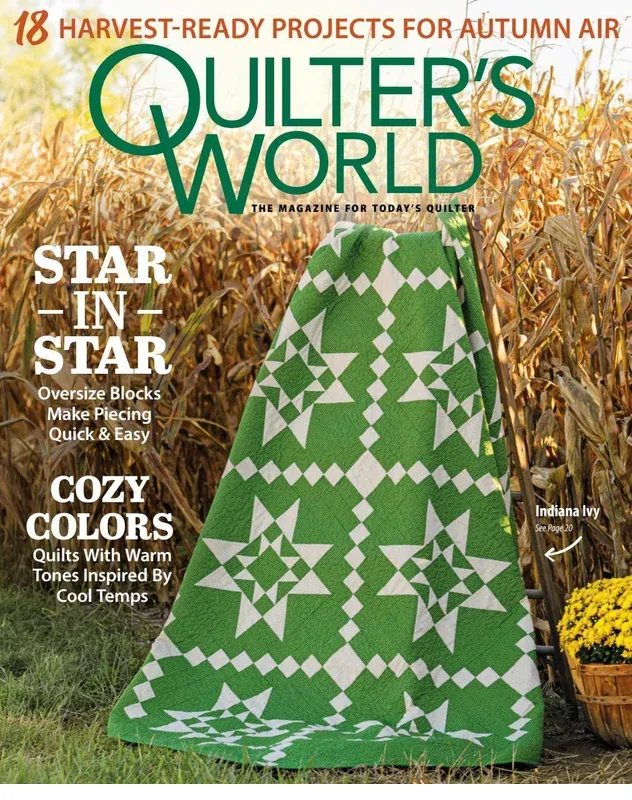 bnpquilts5750770