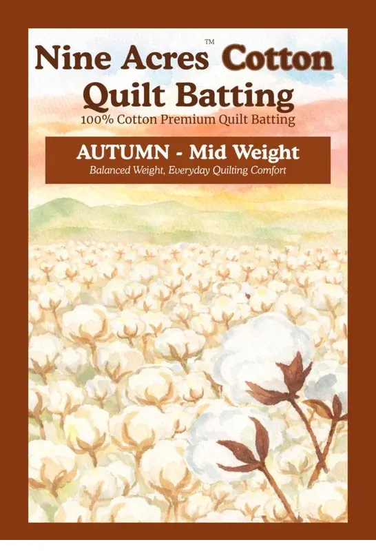 bnpquilts5751738