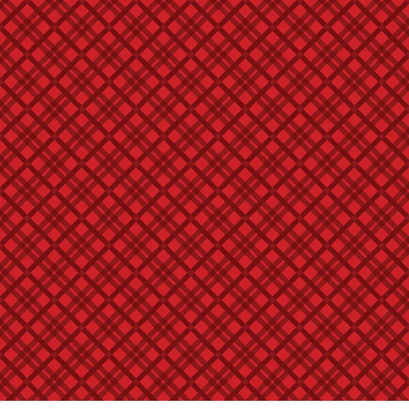 bnpquilts5752195