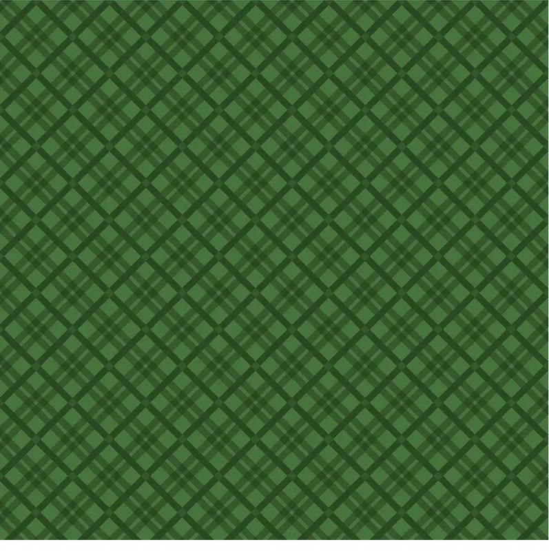 bnpquilts5752202
