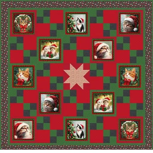 bnpquilts5752270