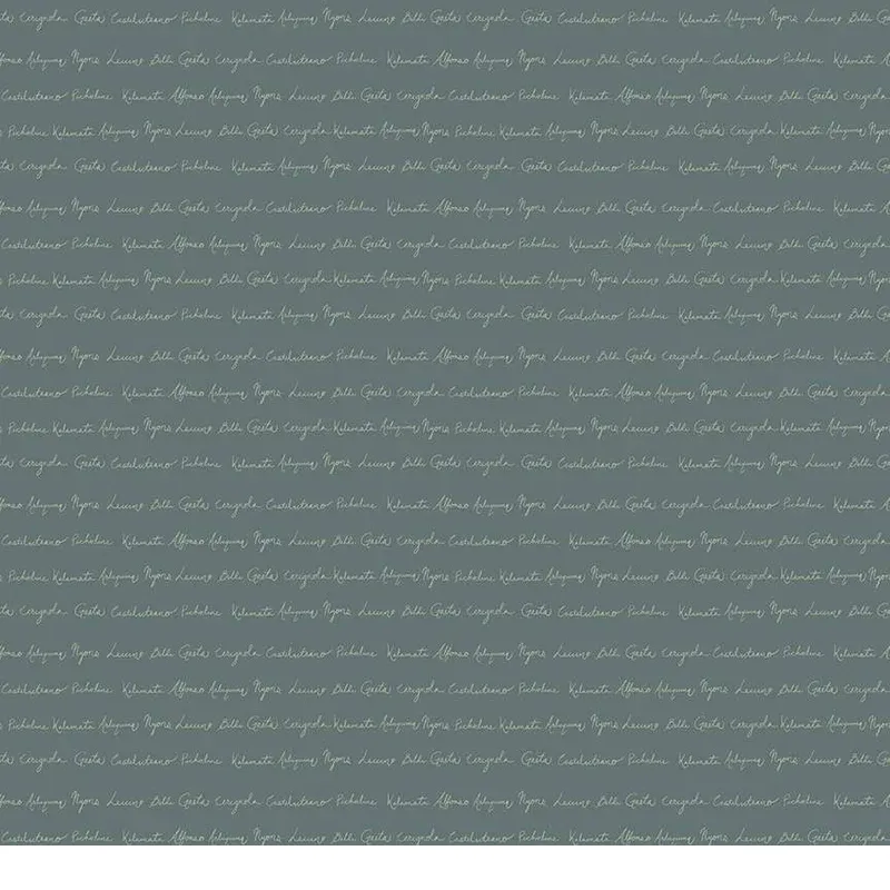 theshiplapquiltshop5655993