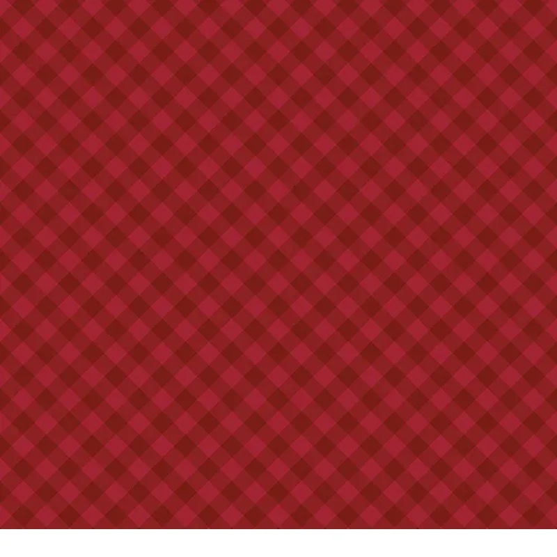 theshiplapquiltshop5680225